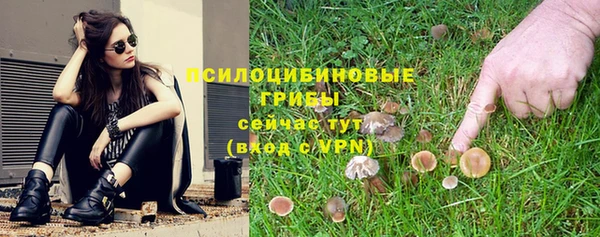 каннабис Новодвинск