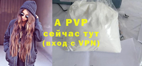 ешки Новозыбков