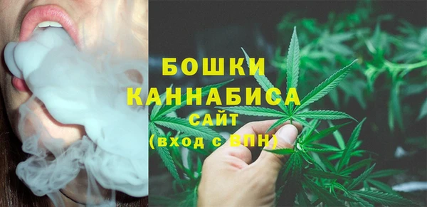 каннабис Новодвинск