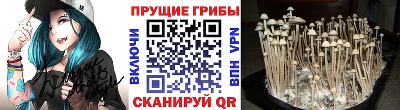 Псилоцибиновые грибы мухоморы  наркота  Питкяранта 